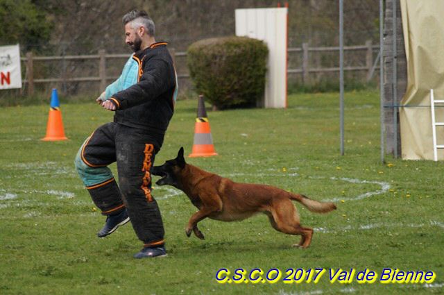 2017 Ring-Chassal-Deckers (92) (Copier).jpg